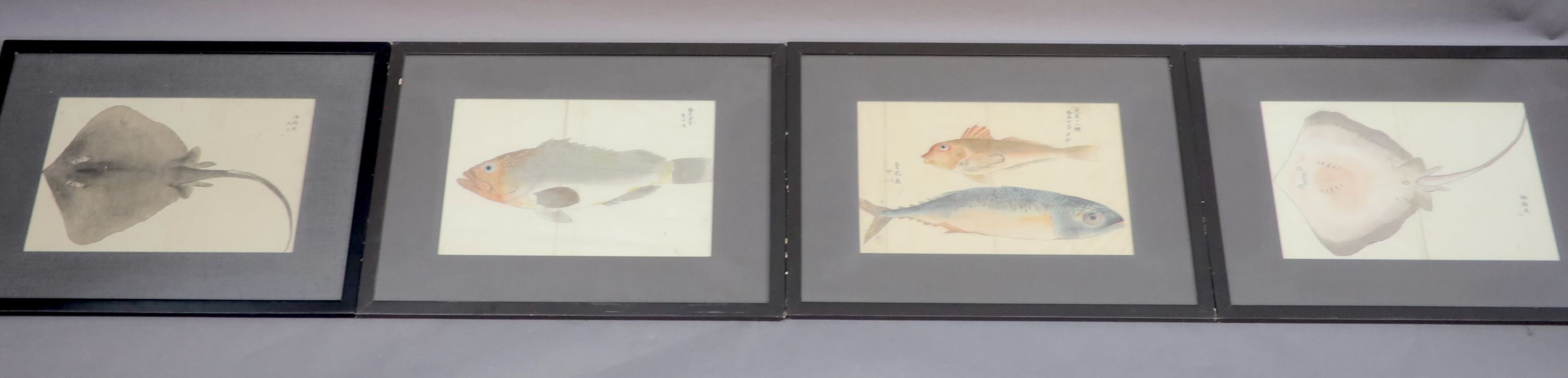 Four 19th century Japanese paintings of fish including a skate and a wrasp
